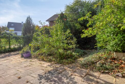 Hazelaar116444dmBrunssum-26-1