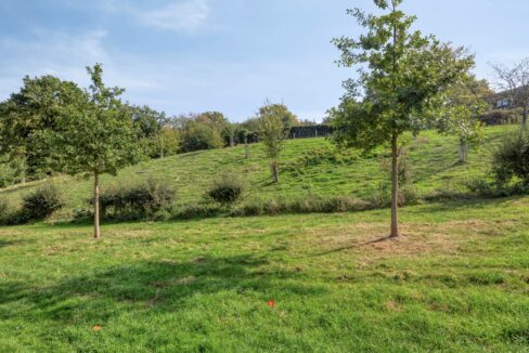 Hazelaar116444dmBrunssum-30-1